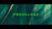 萨摩耶和哈士奇谁贵
