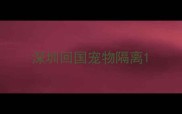 深圳回国宠物隔离