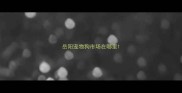 岳阳宠物狗市场在哪里