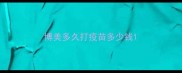 博美多久打疫苗多少钱