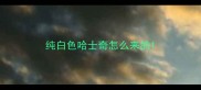 纯白色哈士奇怎么来的