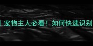 英特威疫苗包装颜色全宠物主人必看如何快速识别疫苗批次和保存方法