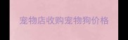 宠物店收购宠物狗价格