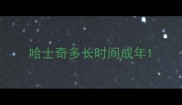 哈士奇多长时间成年