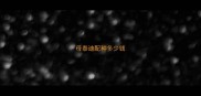 母泰迪配种多少钱