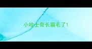 小哈士奇长眉毛了