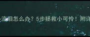 猫咪眼屎多流泪怎么办5步拯救小可怜附详细护理指南
