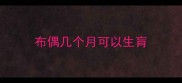布偶几个月可以生肓