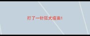 打了一针狂犬疫苗