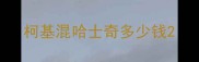 柯基混哈士奇多少钱