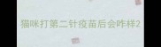猫咪打第二针疫苗后会咋样
