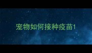宠物如何接种疫苗