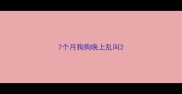 7个月狗狗晚上乱叫