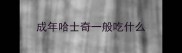 成年哈士奇一般吃什么