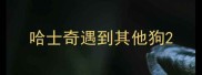 哈士奇遇到其他狗