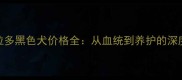 拉布拉多黑色犬价格全从血统到养护的深度指南
