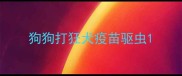 狗狗打狂犬疫苗驱虫