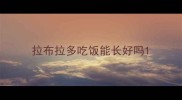 拉布拉多吃饭能长好吗