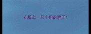 衣服上一只小狗的牌子