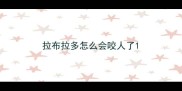 拉布拉多怎么会咬人了