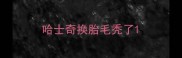 哈士奇换胎毛秃了
