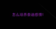 怎么培养泰迪感情