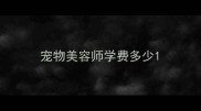 宠物美容师学费多少