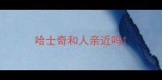 哈士奇和人亲近吗
