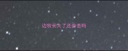 边牧长大了还会丢吗