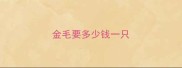 金毛要多少钱一只
