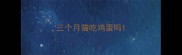 三个月猫吃鸡蛋吗
