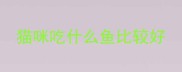 猫咪吃什么鱼比较好