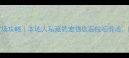 扬州宠物市场攻略本地人私藏的宠物店医院领养地附避坑指南