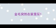 金毛突然在家里尿