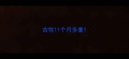 古牧11个月多重