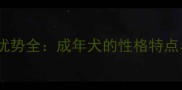 金毛犬性格优势全成年犬的性格特点与饲养建议