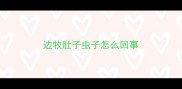 边牧肚子虫子怎么回事