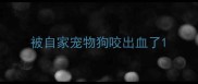 被自家宠物狗咬出血了
