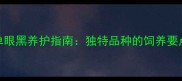 边境牧羊犬单眼黑养护指南独特品种的饲养要点与美容技巧