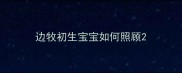 边牧初生宝宝如何照顾