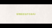 宠物医院治疗乌龟吗