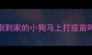 刚到家的小狗马上打疫苗吗