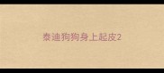 泰迪狗狗身上起皮