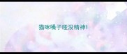 猫咪嗓子哑没精神