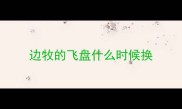边牧的飞盘什么时候换