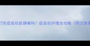 狗狗打完疫苗后能摸嘴吗疫苗后护理全攻略附注意事项