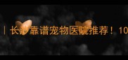 长沙河西康贝宠物医院长沙靠谱宠物医院推荐10年口碑老牌医院看这里
