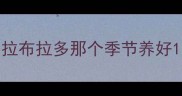 拉布拉多那个季节养好