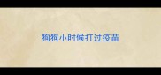 狗狗小时候打过疫苗