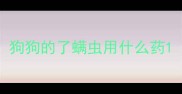 狗狗的了螨虫用什么药